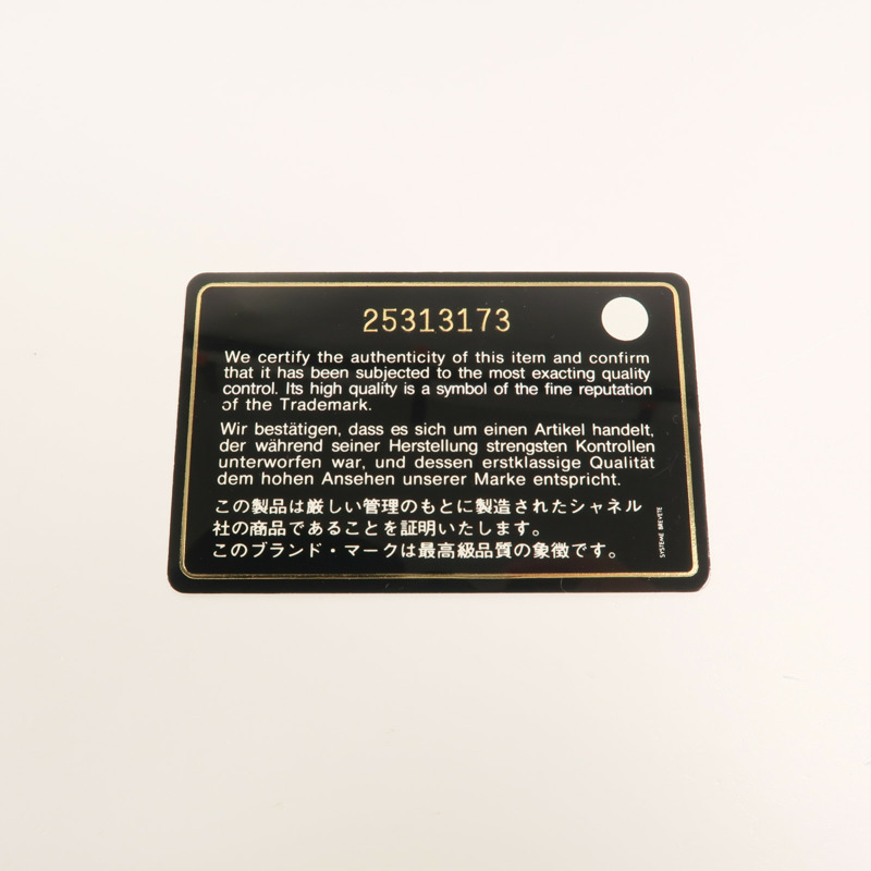 CHANEL 牛皮皮革2.55 Camera Bag鏈帶肩背袋-9
