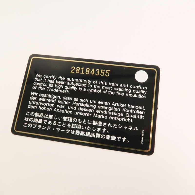 CHANEL 牛皮皮革WOC Wallet On Chain鏈帶肩背袋-10