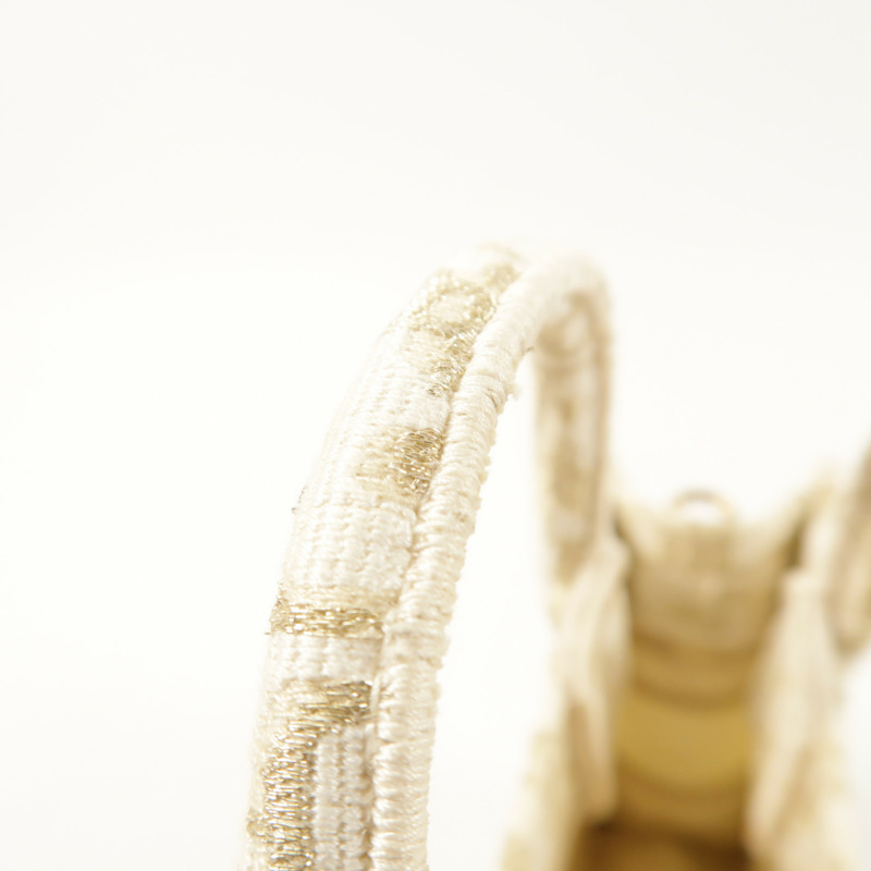 Dior 帆布Book Tote Mini手挽肩背兩用袋-13