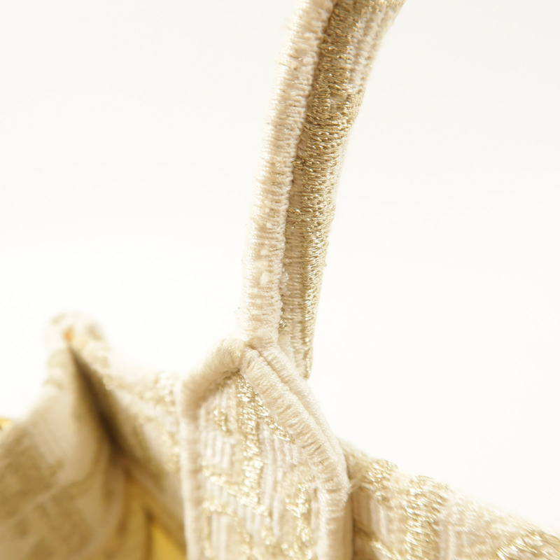 Dior 帆布Book Tote Mini手挽肩背兩用袋-14