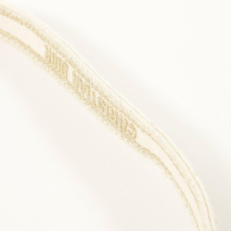 Dior 帆布Book Tote Mini手挽肩背兩用袋-17