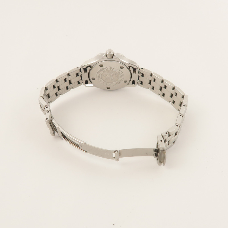 OMEGA Seamaster Professional 300M 2583.80-5