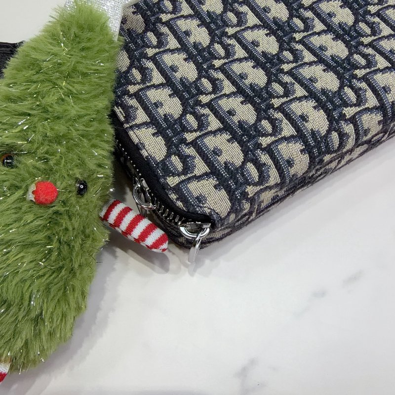 DIOR Oblique雙層拉鏈老花帆布相機包-9