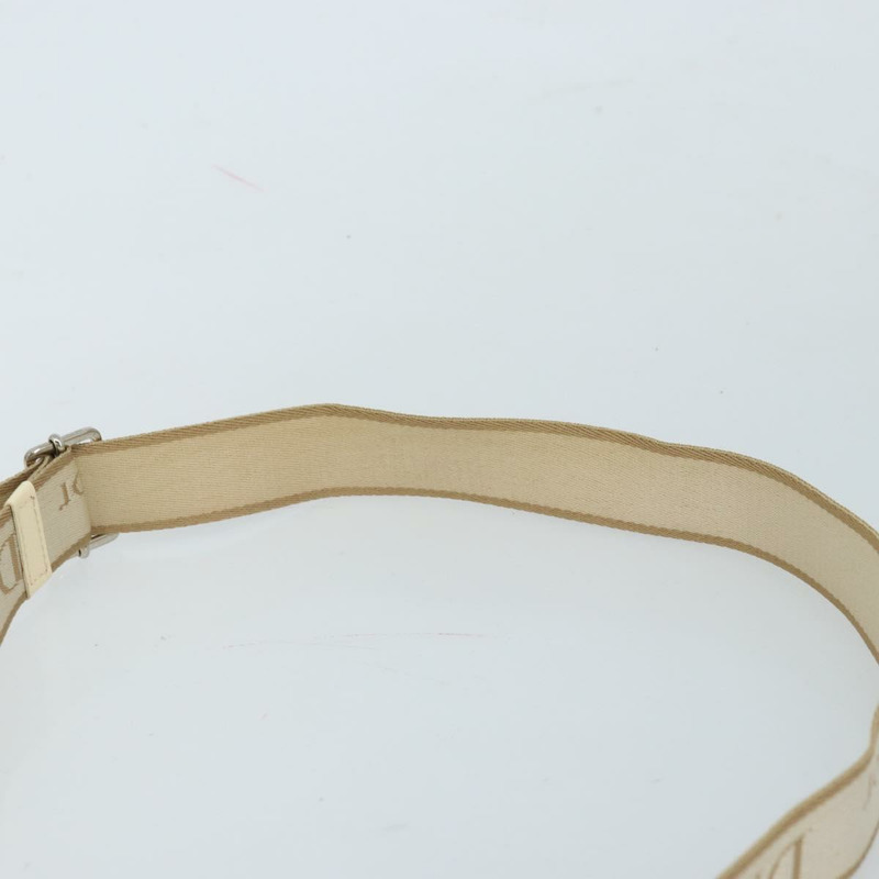 【日本直送】Christian Dior Trotter帆布肩背包 PVC象牙銀色 正品 173352V-13