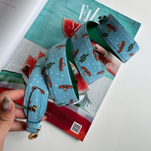 💖PRADA 淺藍色仙人掌系列背帶