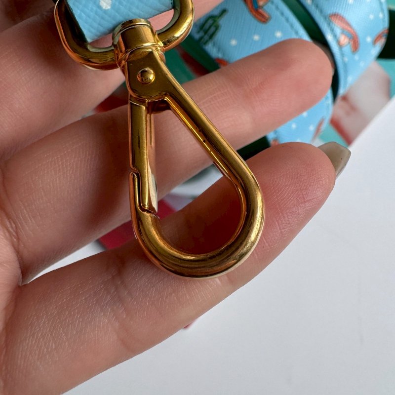 💖PRADA 淺藍色仙人掌系列背帶-1