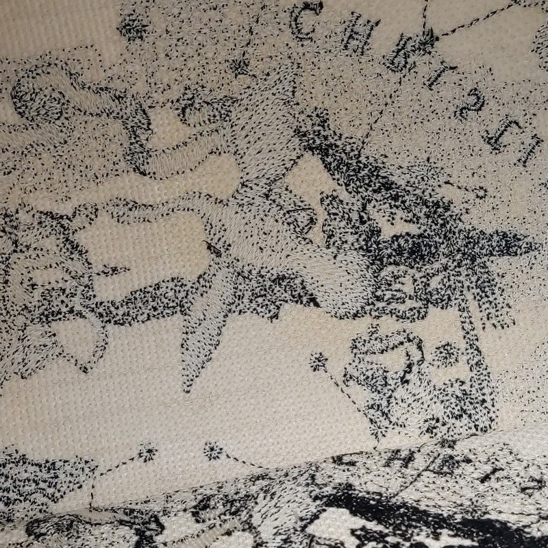 Dior Book Tote中型帆布Dior Zodiac圖案刺繡手提包-8