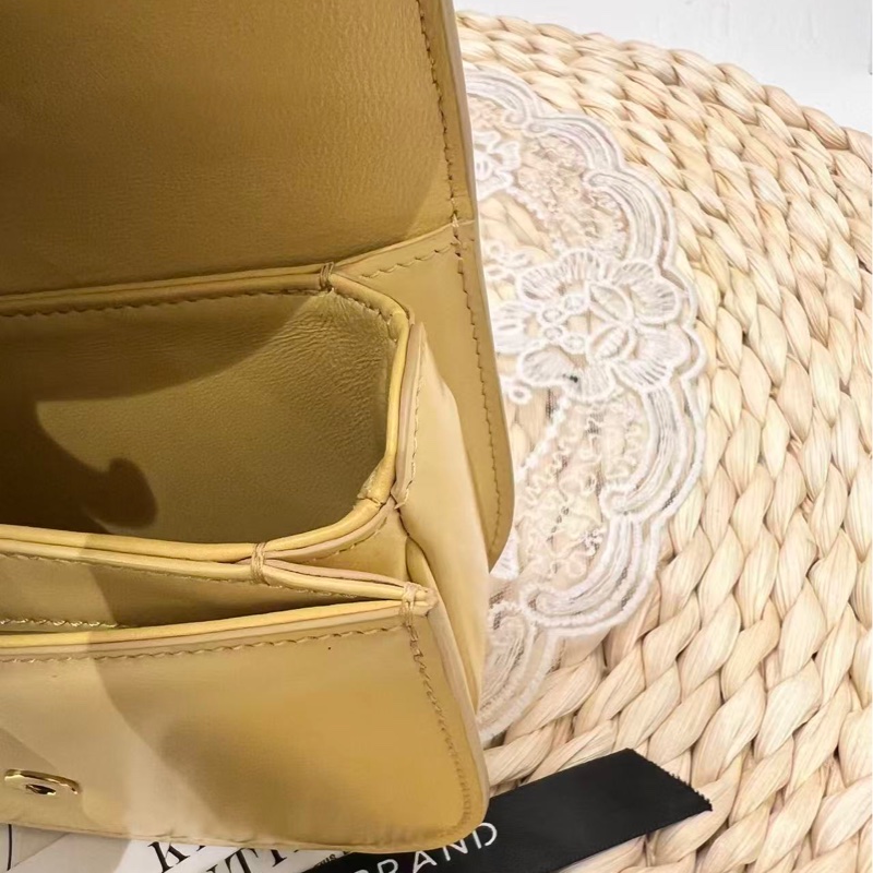 Celine Mini Besace Clea（閒置未使用）-15