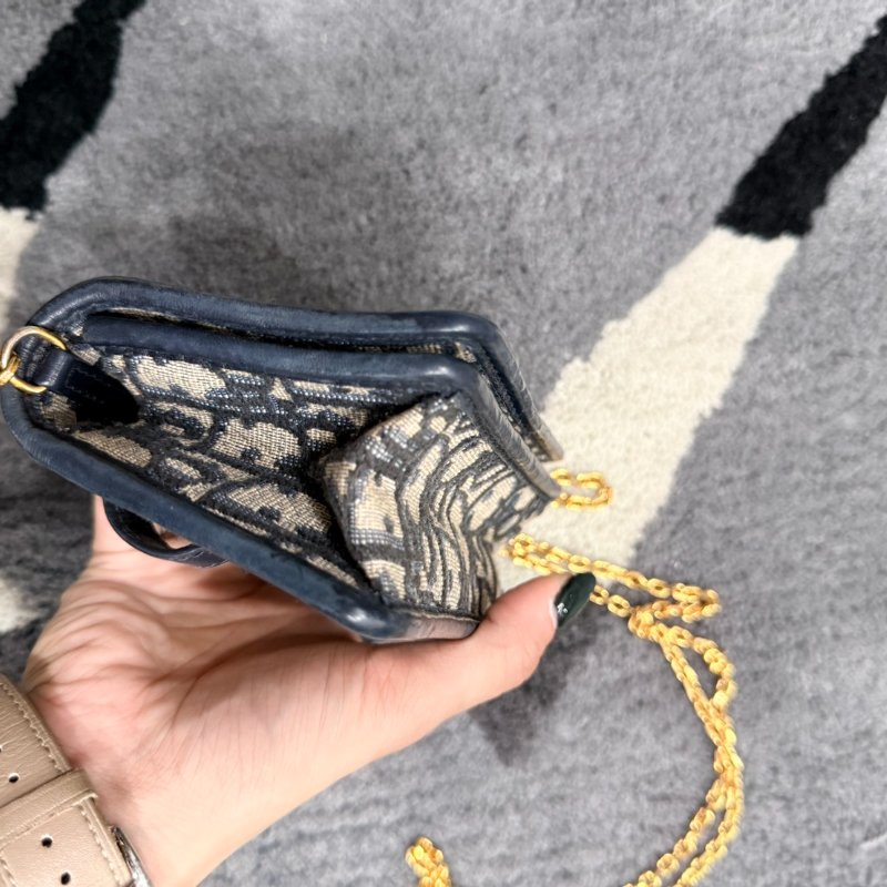 Dior Oblique 30 Montaigne小包-6