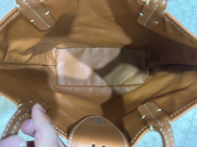 Goyard Anjou Mini Bag 迷你托特包 雙面托特+croc universal 固定扣-4