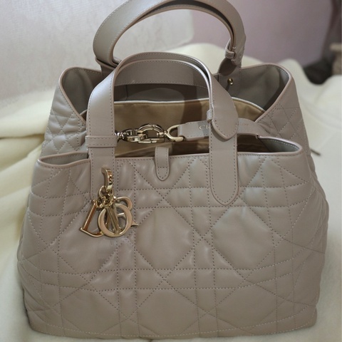 Dior Toujours 土著包 中號 2025購入