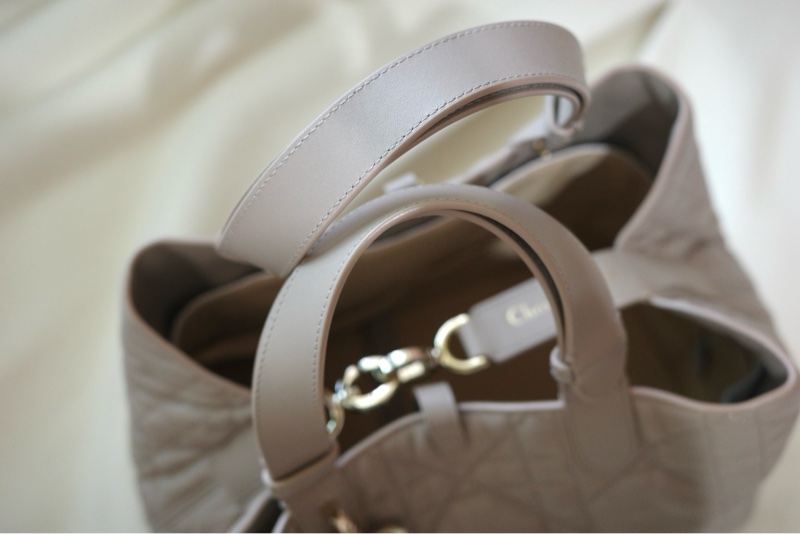 Dior Toujours 土著包 中號 2025購入-4