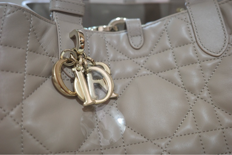 Dior Toujours 土著包 中號 2025購入-5