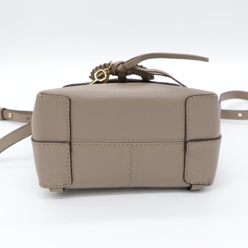 See by Chloé 蔻依副線 Joan 牛皮 麂皮 後背包-7