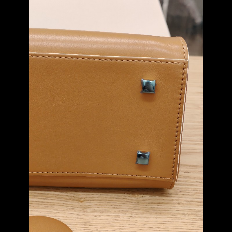 Delvaux Small Tempete-3