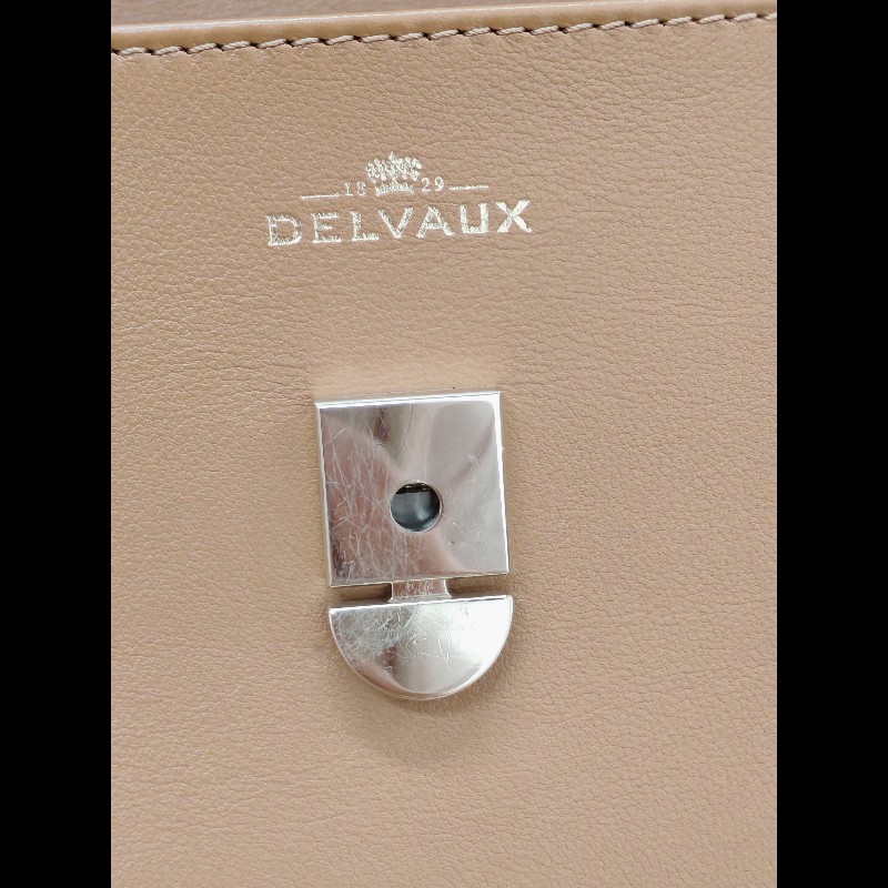 Delvaux Small Tempete-13