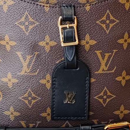 路易威登/Louis Vuitton Odeon Monogram 塗層帆布 24 x 22 x 8 芯片配塵袋-10