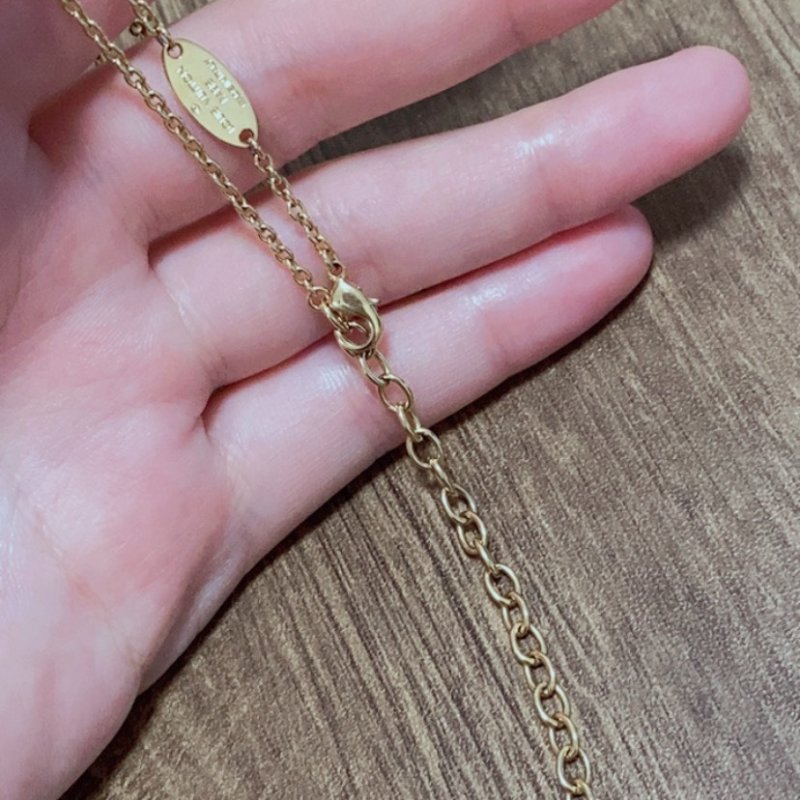 LV正品 金滿鑽Iconic logo項鍊-5