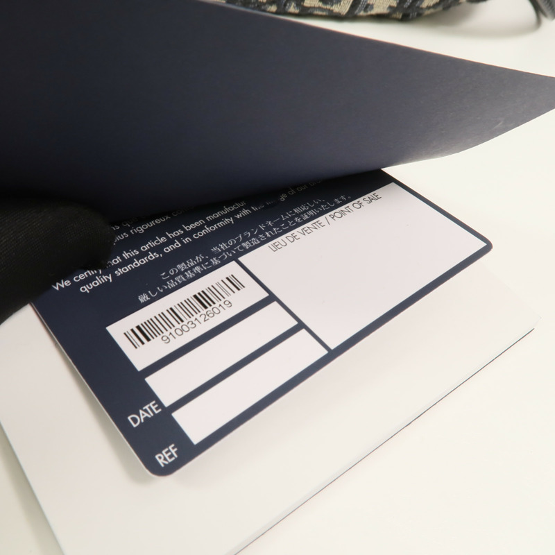 Dior 帆布Saddle Messenger Bag肩背袋-11