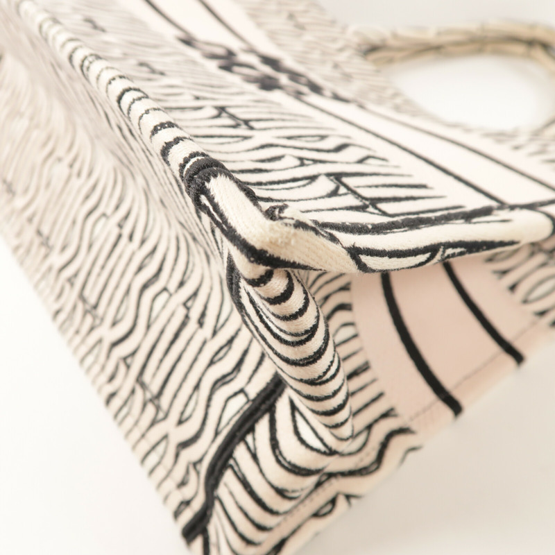 Dior 帆布Book Tote Bag手挽袋-9