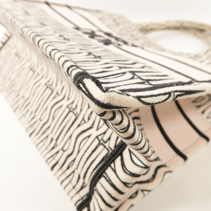 Dior 帆布Book Tote Bag手挽袋-11
