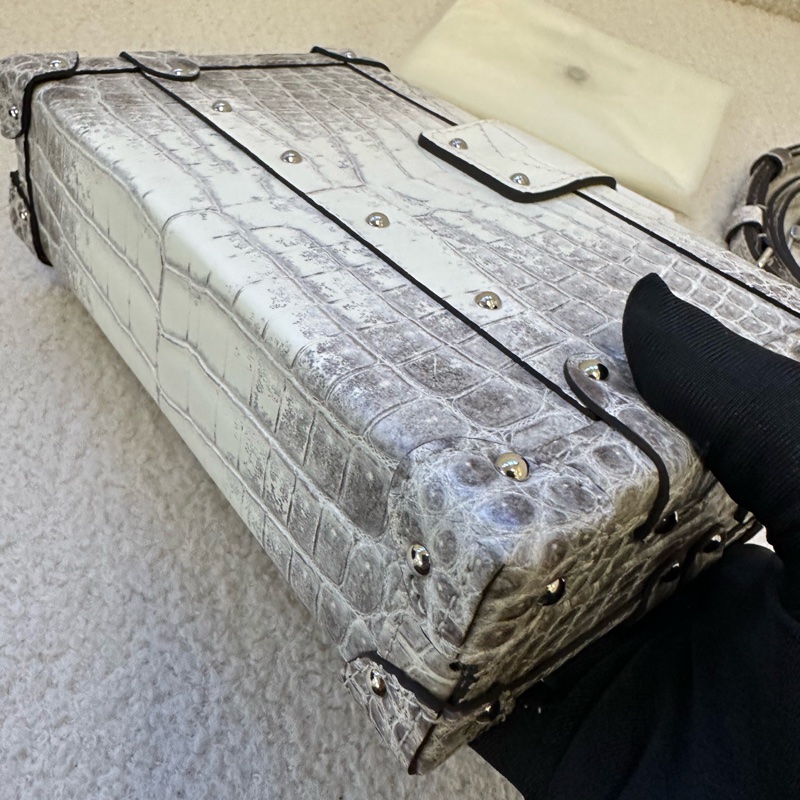 閒置晶片款｜Louis Vuitton Petite Malle 喜馬拉雅撒哈拉鱷魚皮 大盒子 Himalaya Sahara Crocodile Leather-3