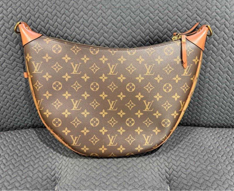 98新 路易威登/Louis Vuitton Loop Hobo 經典老花滿印帆布 豌豆包/月亮包-1