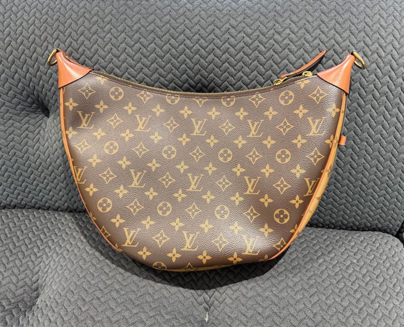 98新 路易威登/Louis Vuitton Loop Hobo 經典老花滿印帆布 豌豆包/月亮包-2