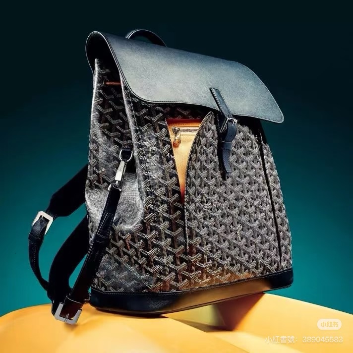 質感滿分💯99新🆕Goyard戈雅Alpin老花雙肩後背包電腦包-4