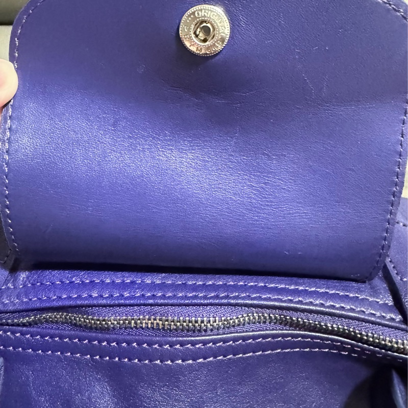 二手LONGCHAMP羊皮短柄肩背包（大號）-2