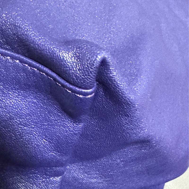 二手LONGCHAMP羊皮短柄肩背包（大號）-6