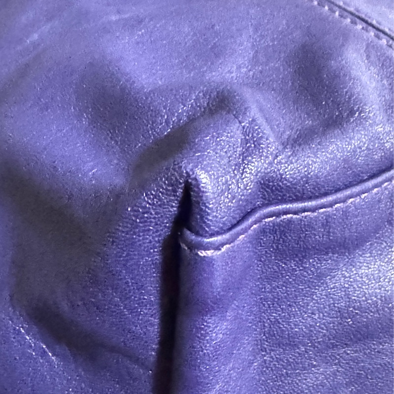 二手LONGCHAMP羊皮短柄肩背包（大號）-7