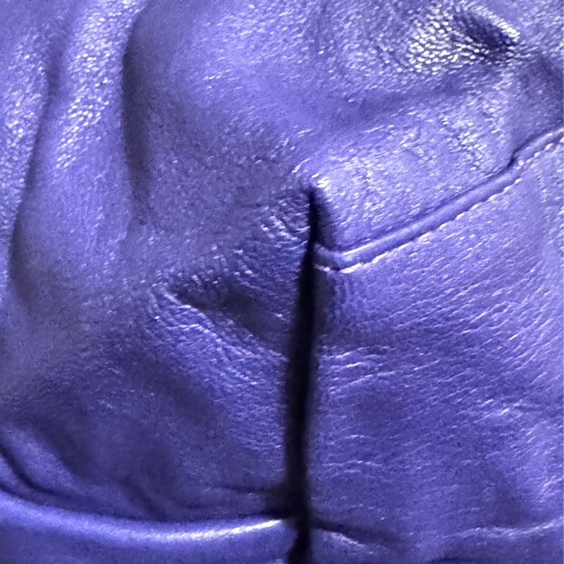 二手LONGCHAMP羊皮短柄肩背包（大號）-8