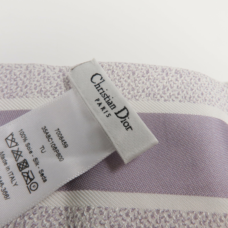 Dior 絲質Pluie Magique Mitzah Scarf絲巾-4