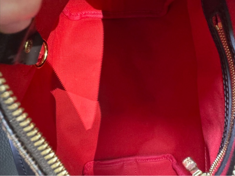 Lv 棕色棋盤格speed25 晶片款-13