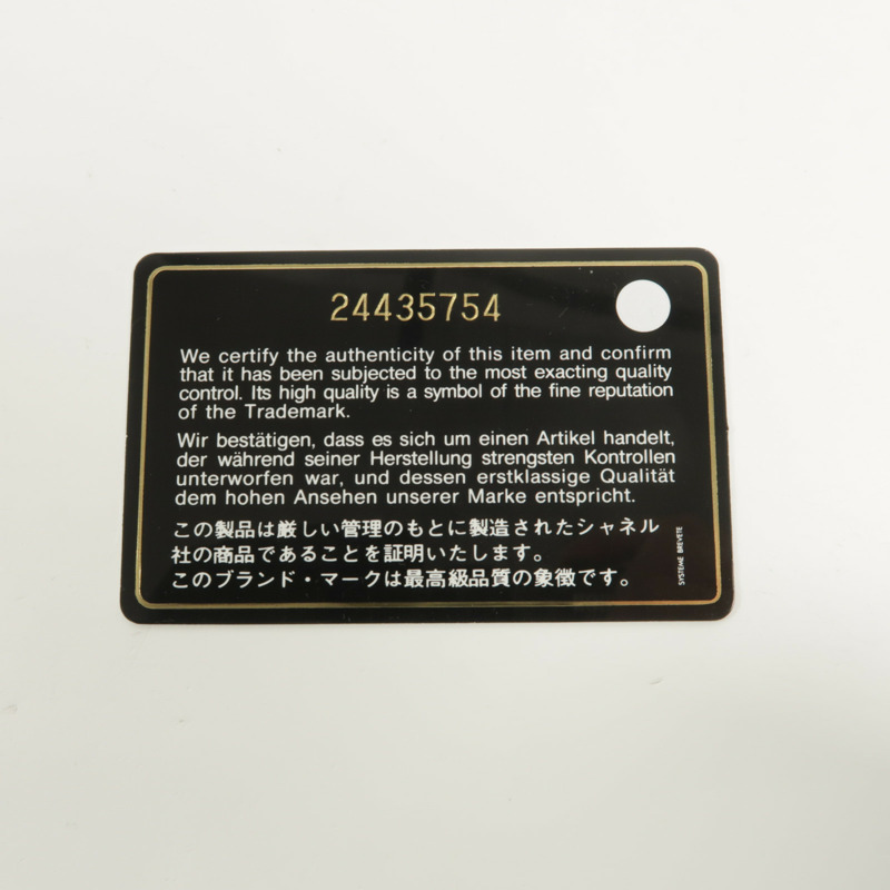 CHANEL 牛皮皮革Top Handle Camera Bag鏈帶肩背袋-10