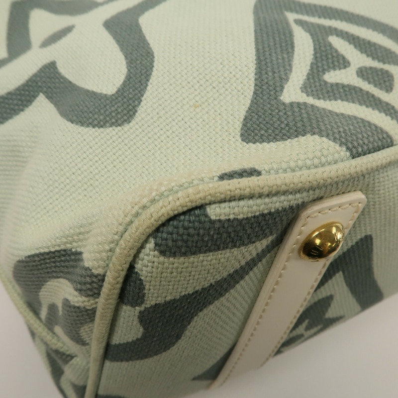 LOUIS VUITTON 帆布Tahitienne GM肩背袋-9