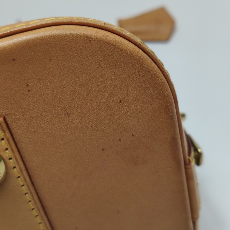 Louis Vuitton (LV) Alma小號植鞣革Monogram印花貝殼包手提包-15