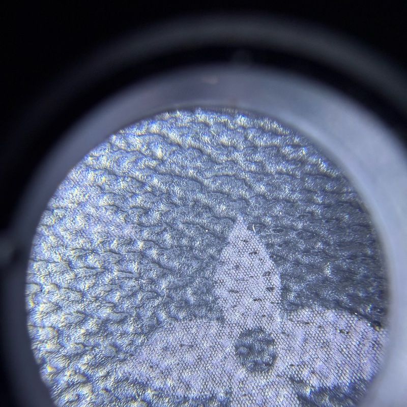 Louis Vuitton 路易威登 零錢包-12