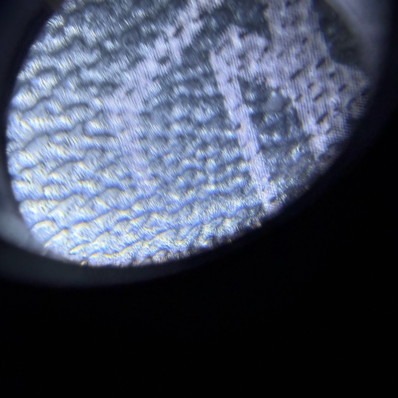 Louis Vuitton 路易威登 零錢包-13