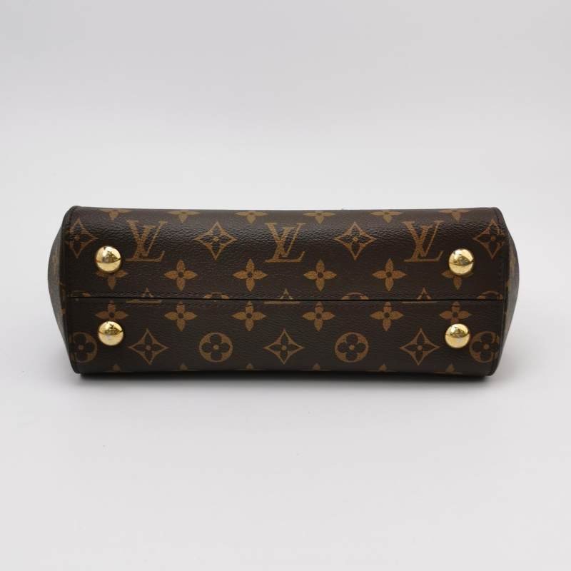 Louis Vuitton (LV) ClunyBB植鞣革Monogram印花翻蓋斜背包肩肩包晶片款-5