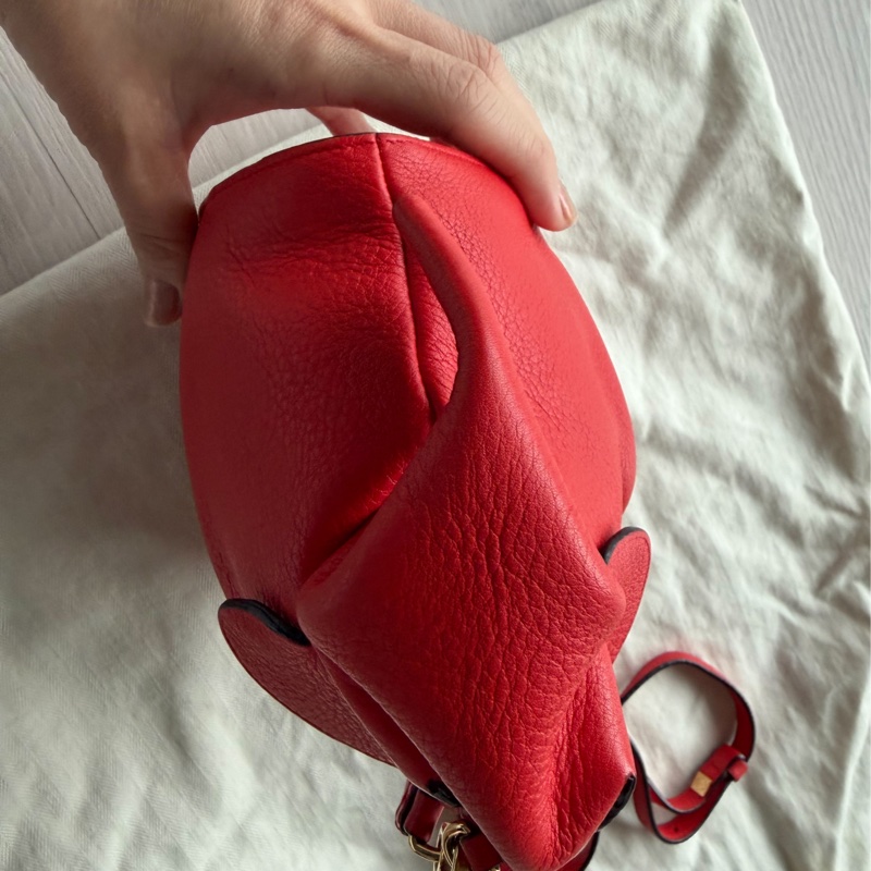 Loewe 大象包-5