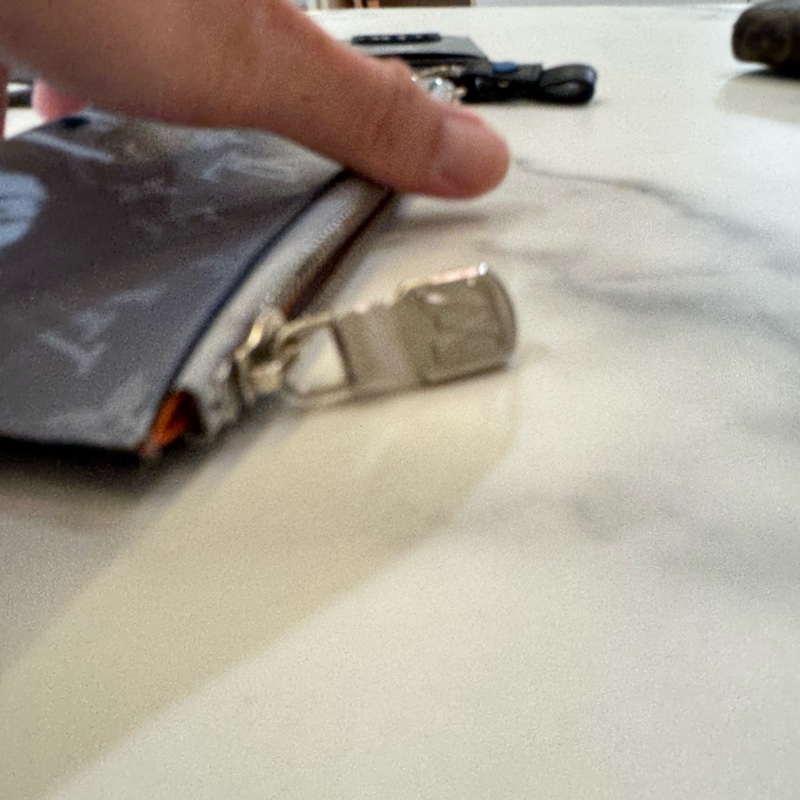 Louis Vuitton 路易威登 M44178-Monogram Satellite Alpha 手拿包 銀色-12