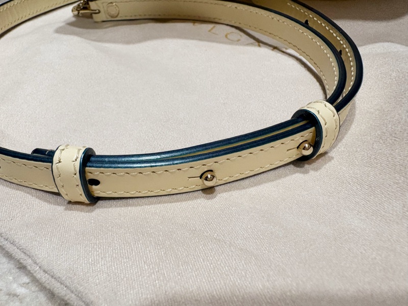 Serpenti Forever系列 雙夾層鏈條 斜肩包（限色款）-13