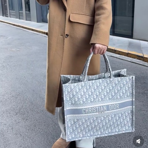 🈶購證❤️ #dior #托特 #booktote #老花 #灰色