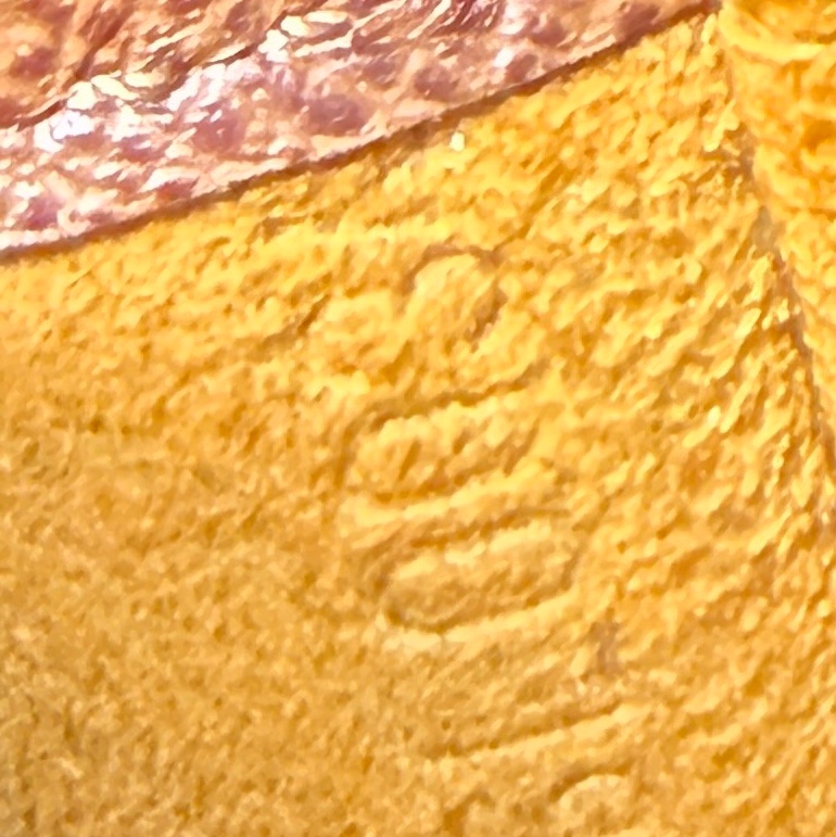 LV M51387 老花掀蓋斜背王妃包-17