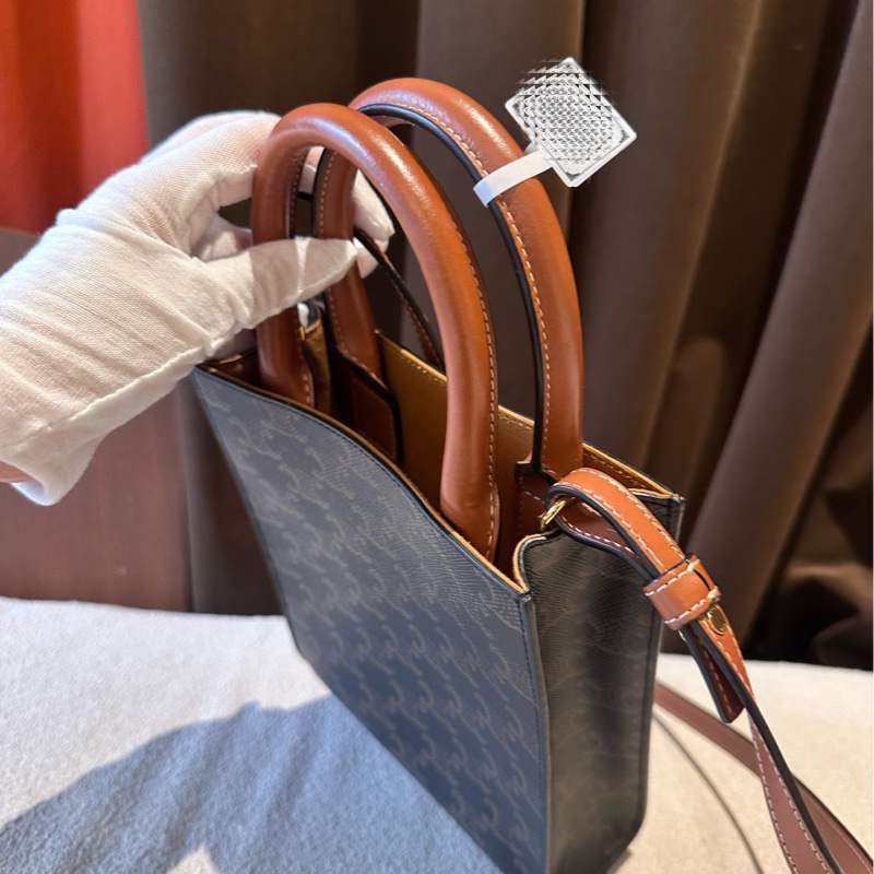 賽琳/Celine  琴譜 迷你 17*20  98🆕-8