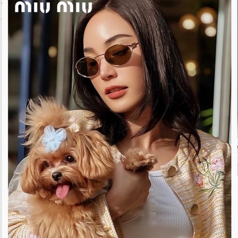 Miu Miu 太陽眼鏡 SMU 52Y 春夏款
