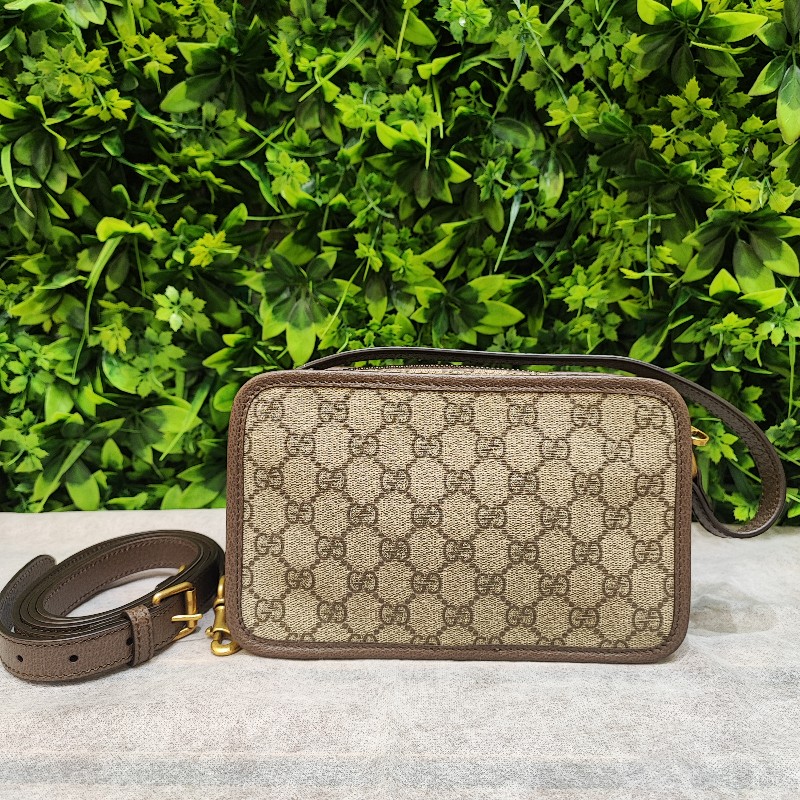 Gucci Ophidia-1