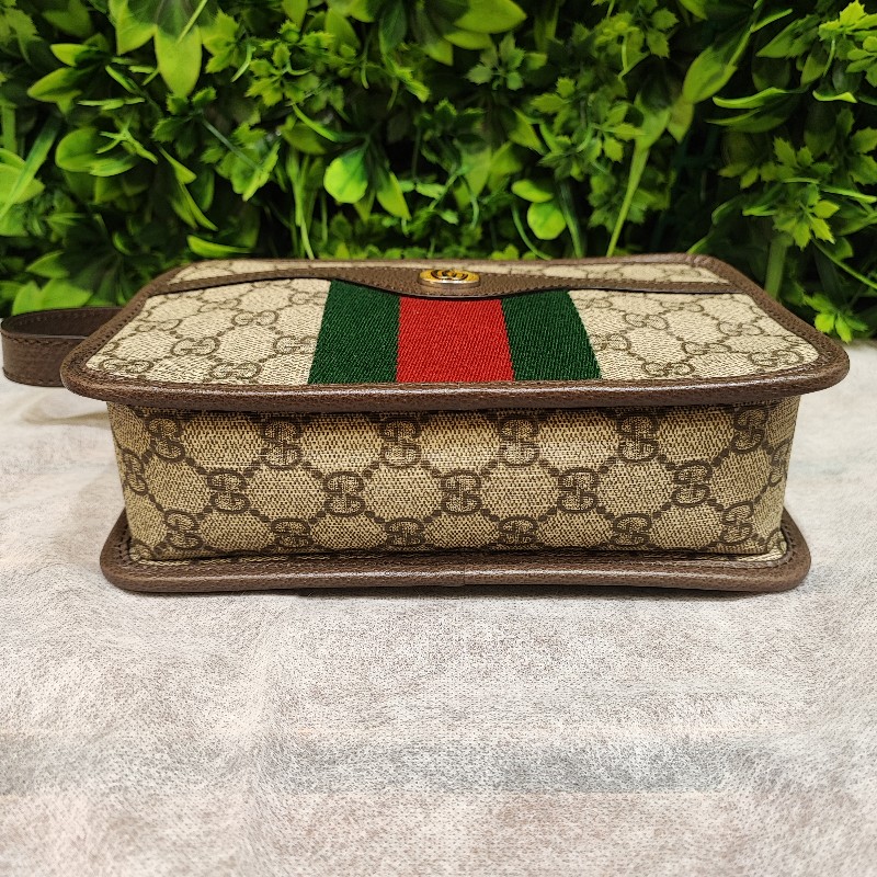 Gucci Ophidia-7